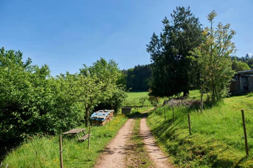 Am Stulzenhof - foto 37