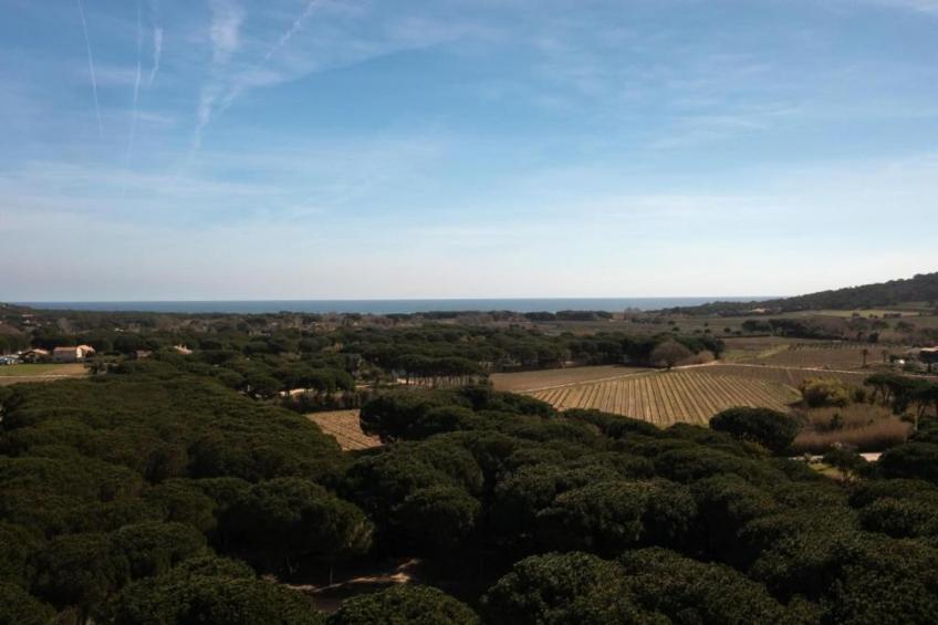 Villa - SAINT-TROPEZ - foto 40