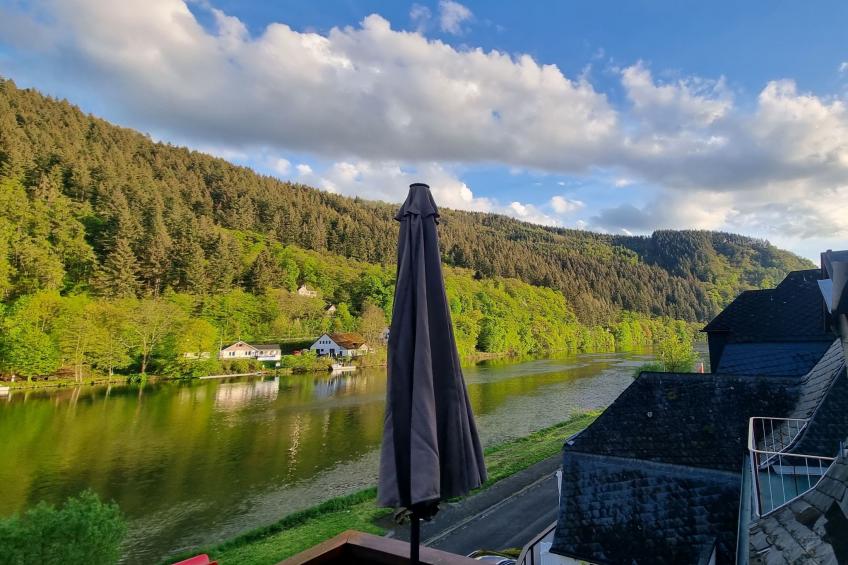 Moselschiefer-Traumferienwohnung am Moselufer - foto 6