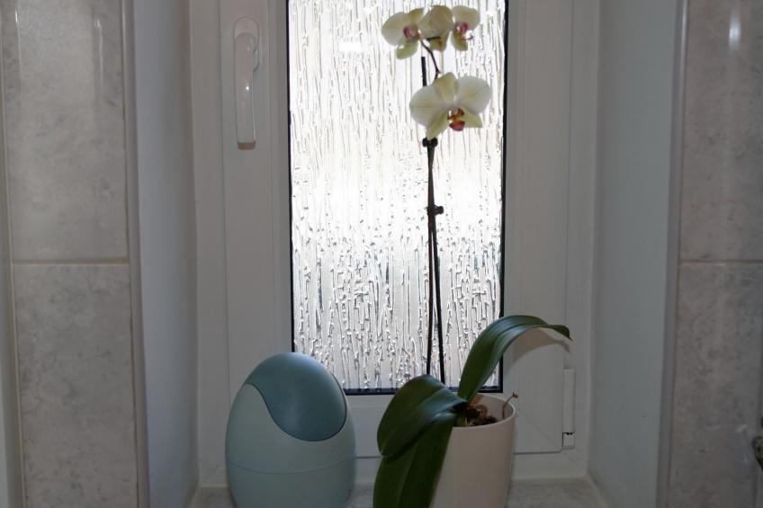 in ruhiger Lage am Waldrand - foto 7