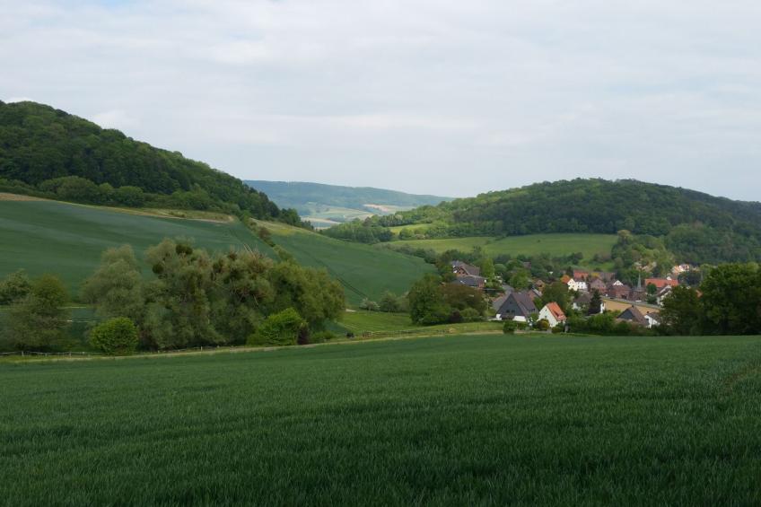 Apartment mit Hund - foto 17