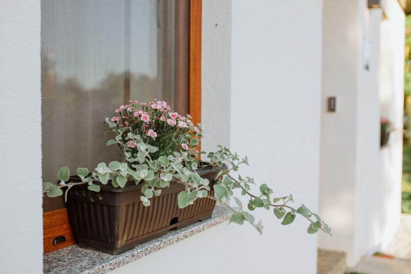 House The View - foto 28