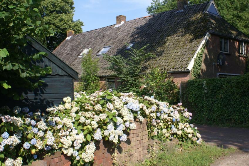 Geschmackvoll eingerichtetes Bauernhaus aus dem 19.