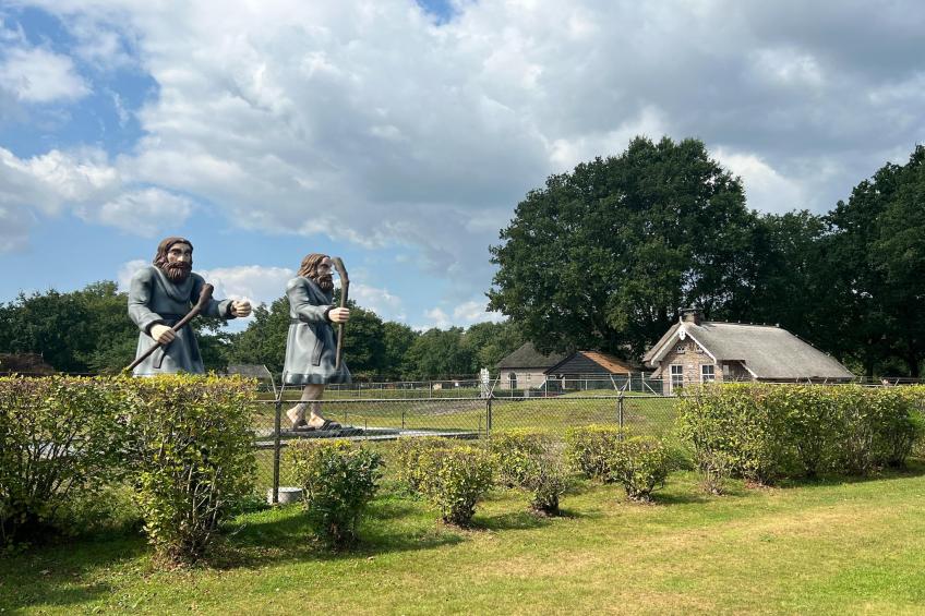 De Riek 4P - foto 22