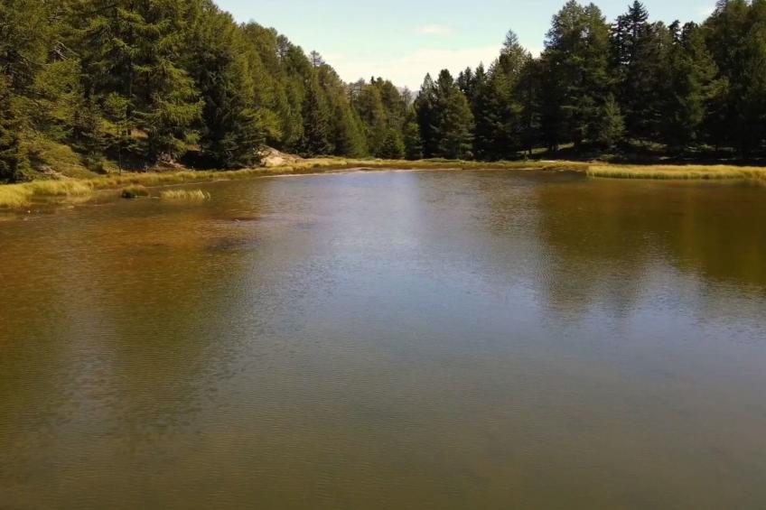 Chalet Oase - foto 31