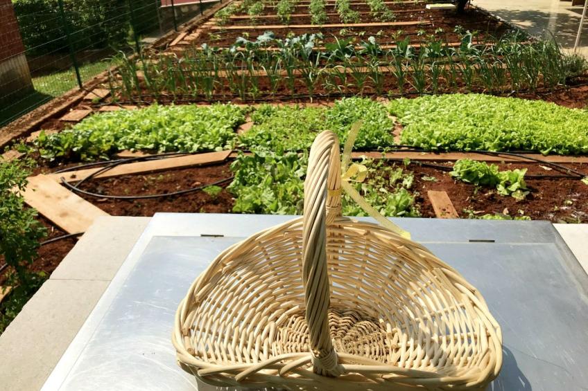 Apartment mit zwei Schlafzimmern in Strandnähe - foto 8