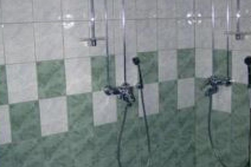 Metsämarja - foto 20