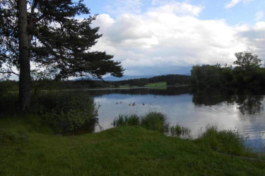 Am Berghof - foto 31