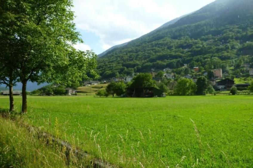 Casa Giardino Grande - foto 24