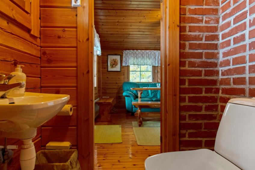 Lahdenpohja, vaikon loma ja lohi - foto 13