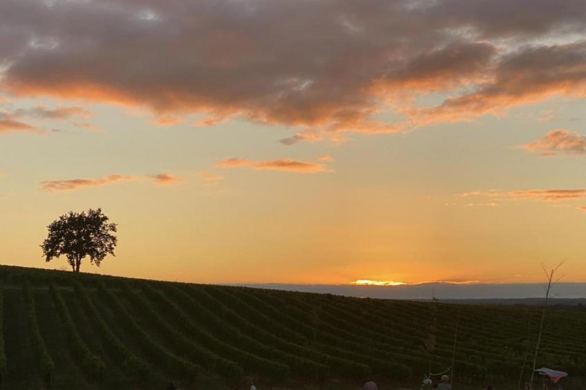 Résidence Le Clos des Vignes - foto 21