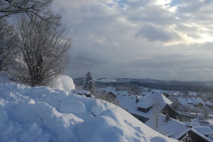 Ferienhaus - foto 23