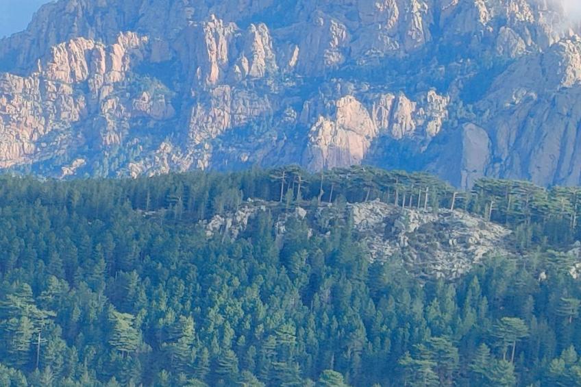 Wohnung "Authentisches korsisches Haus" - foto 13