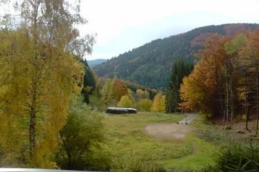 Haus Wiesental - foto 32