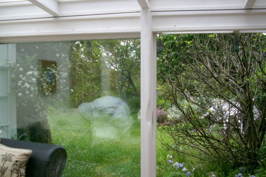 Urlaub am Feigenbaum in Nußloch - foto 10