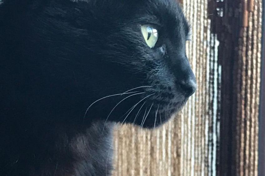 Casa Madera - foto 35