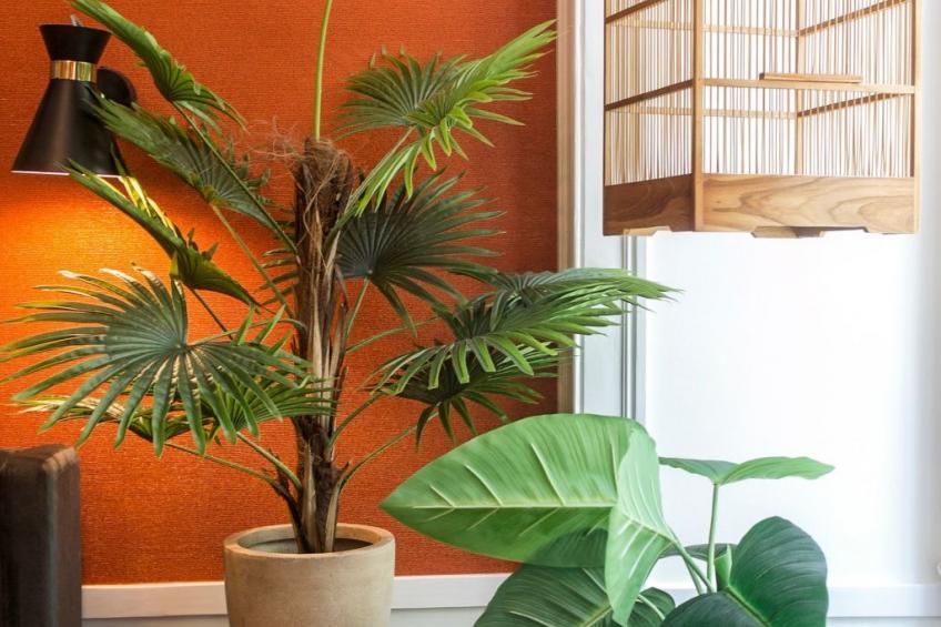 Das exotische Paradies. Majestätischer Aufenthalt im Herzen von Lissabon - foto 8