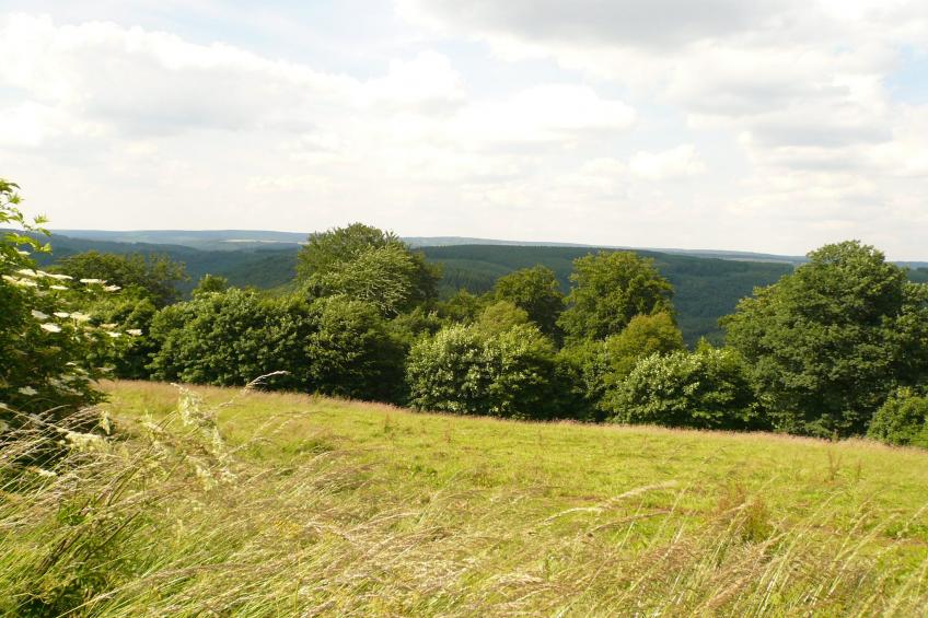 Le Domaine des Arts - foto 19