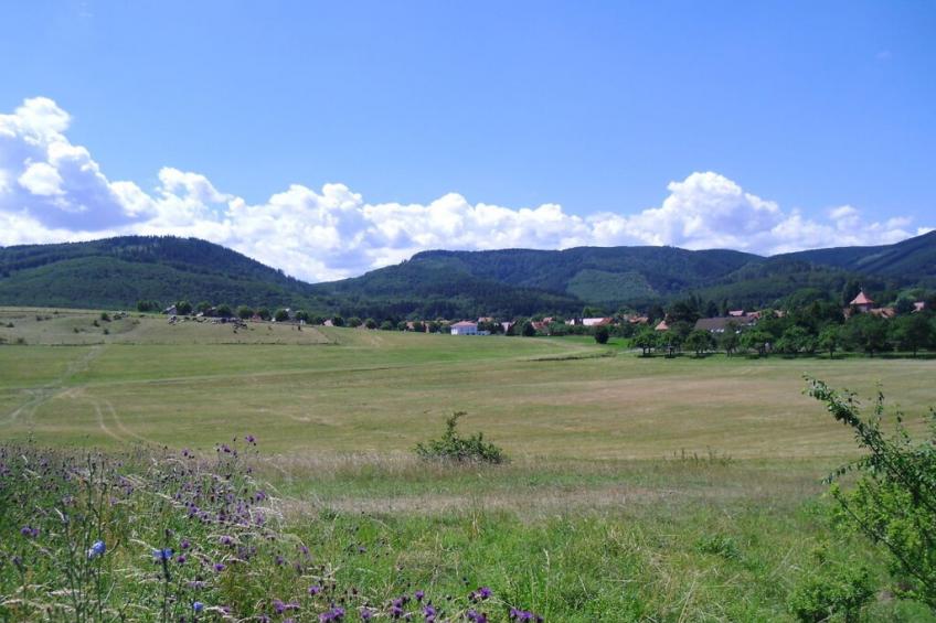 141647 - foto 29