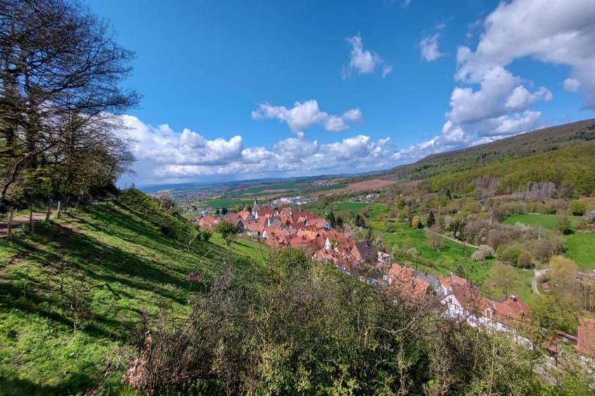 Im Teutoburger Wald - foto 25