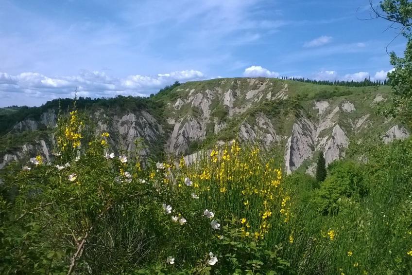 Wohnung mit Garten und oberirdischem Pool - foto 8