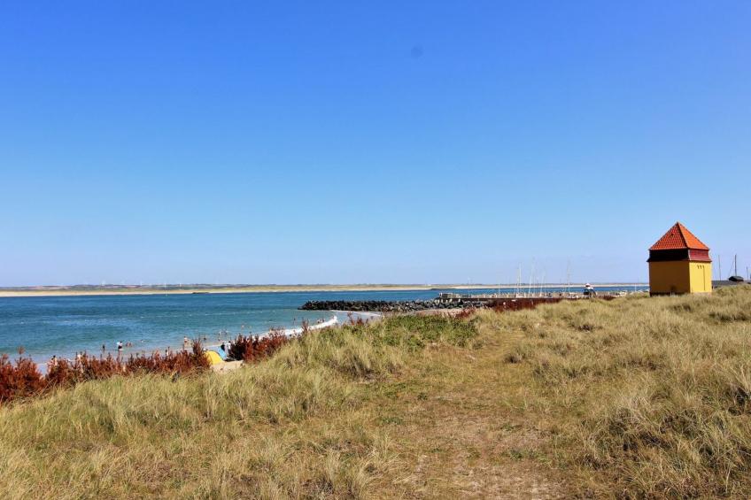 "Eluisa" - 300m from the sea in Western Jutland - foto 15