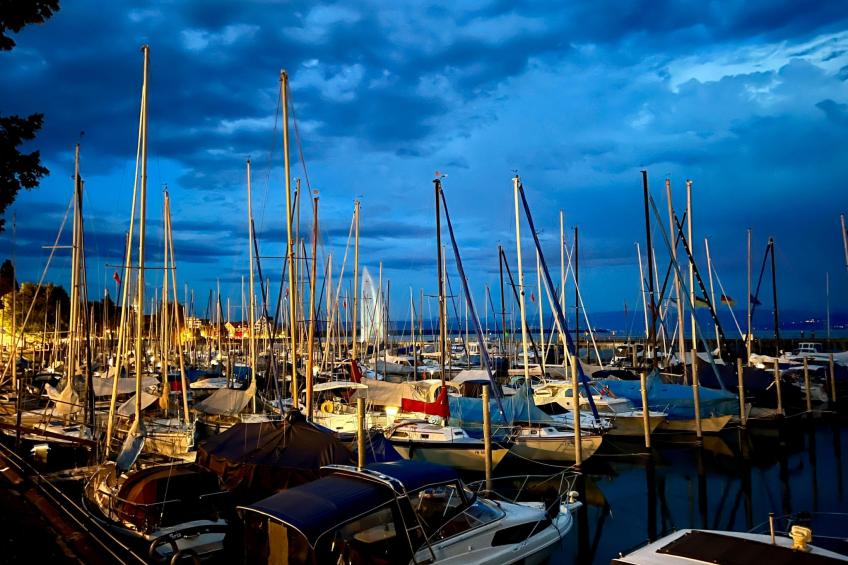 BLICKinsGRUEN - foto 55