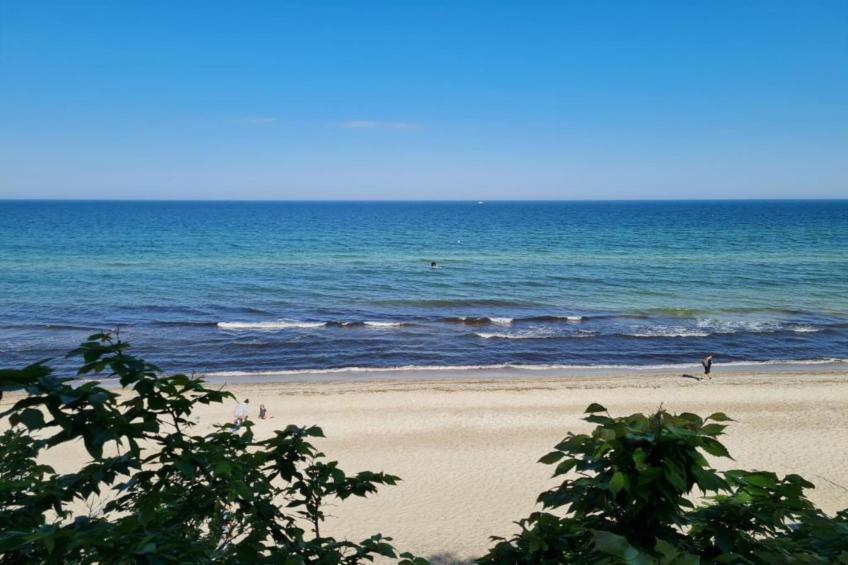 Ferienwohnung Albatross - strandnaher Urlaub Ostseebad Rerik - foto 30