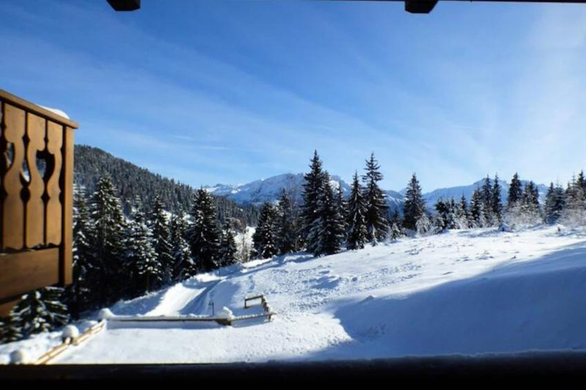 Résidence Tetras Lyre - foto 12