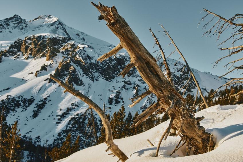 Hütte Ova Spin il Cuvel, (Zernez) - foto 11