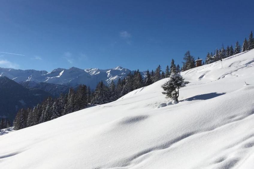 Ski in/ Ski out Traum Ferienwohnung im Skigebiet Kitzski Pass Thurn - foto 32