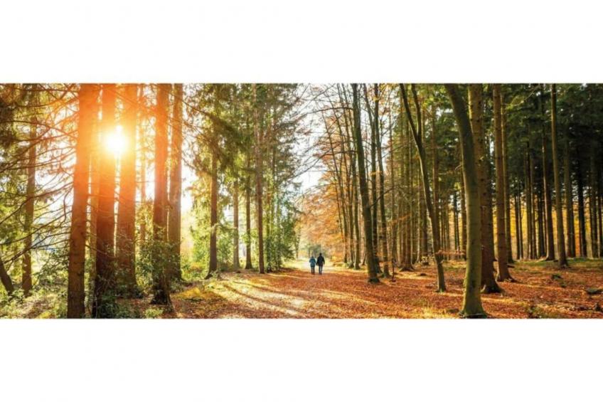 Heivlinder Comfort 4p - foto 29