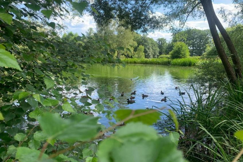 Altes Bootshaus 1 - foto 15