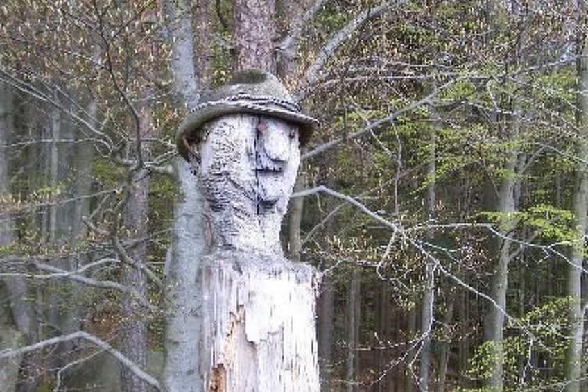 Zillendorf - foto 18