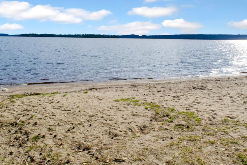 Kulta-käkönen 3 by bomba - foto 19