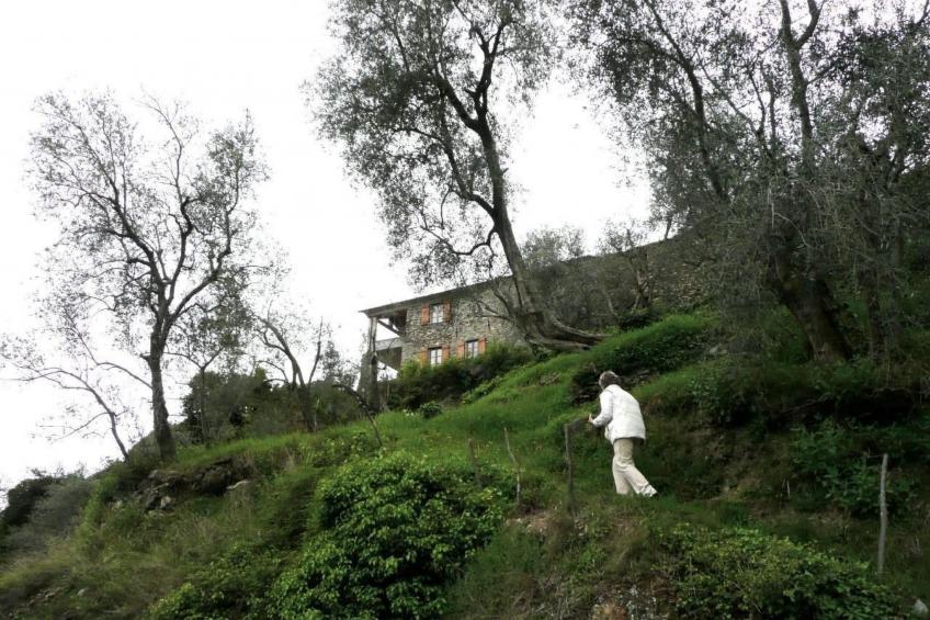 CASA SISSI, Sehnsuchtsort zwischen Olivenhainen - foto 13