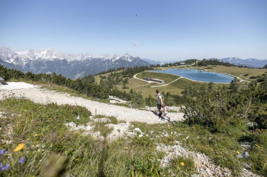 Almsee - foto 27