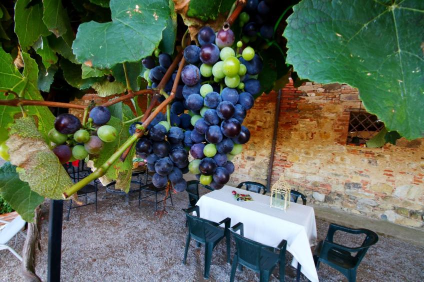 Fiordalisi - foto 25