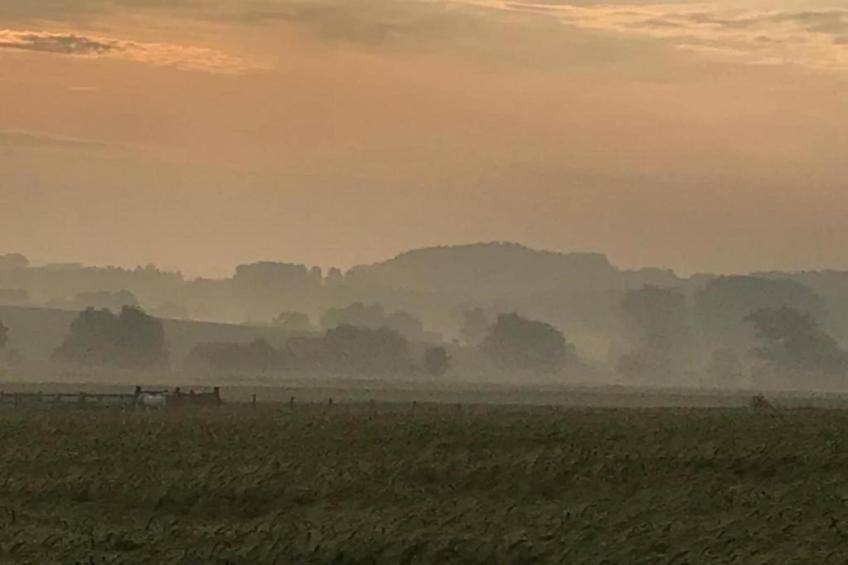 Les Tropiques - foto 29