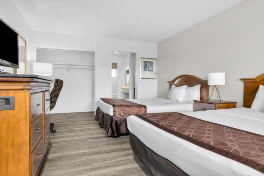 1 King - 2 Queen Beds  Suite Non-Smoking - foto 23