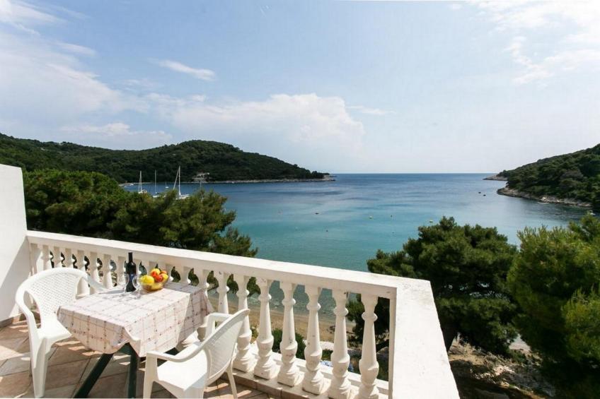 Apartments Franka Saplunara-One-Bedroom Apartment with Terrace and Sea View No1 - foto 3