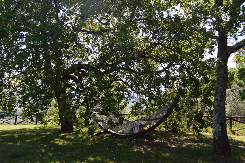 Villa privé met zwembad op biologische boerderij - VW-GWDFC - foto 15