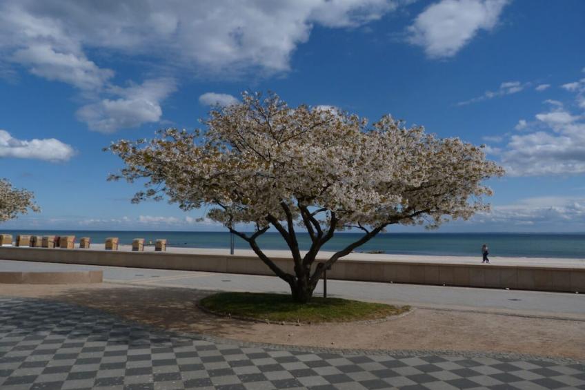 143983 - foto 14