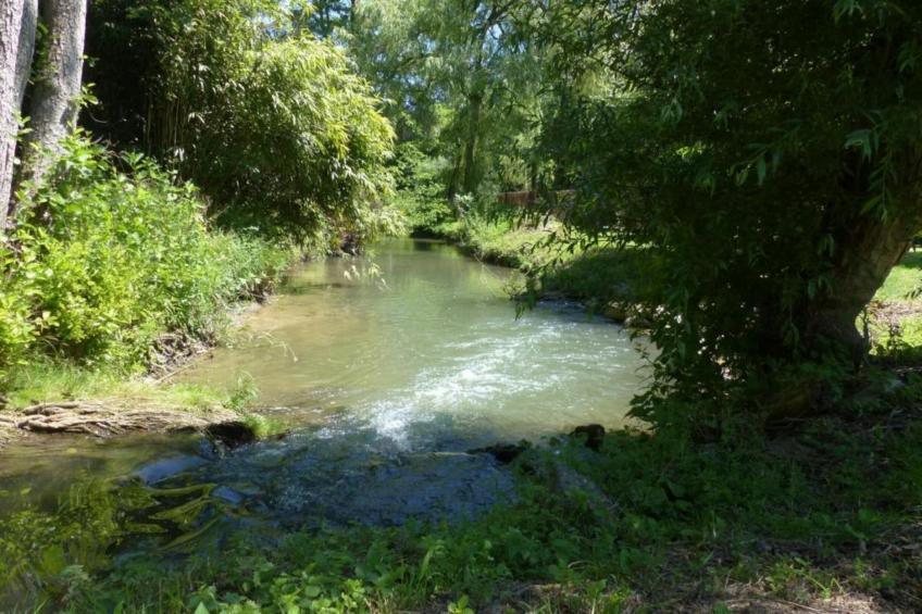 Le Grand Moulin de Denée - foto 37