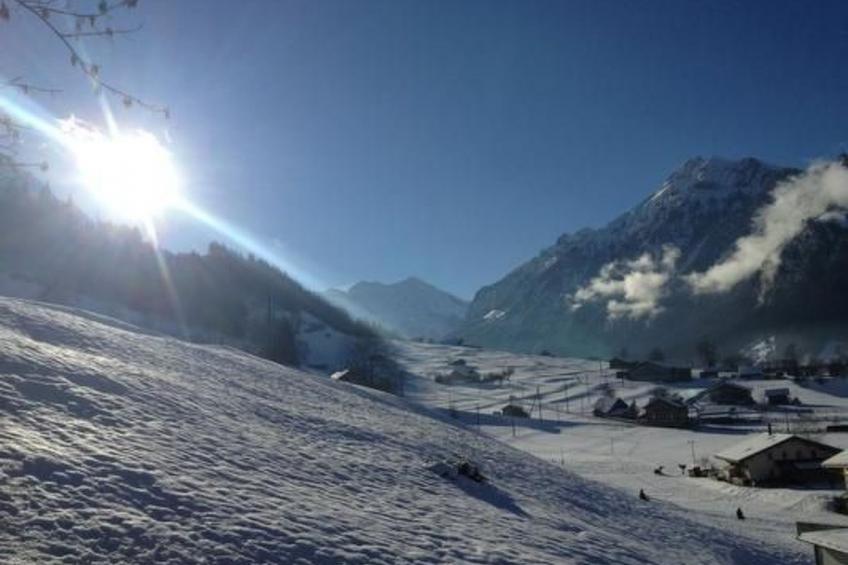 Flädermuus - foto 12