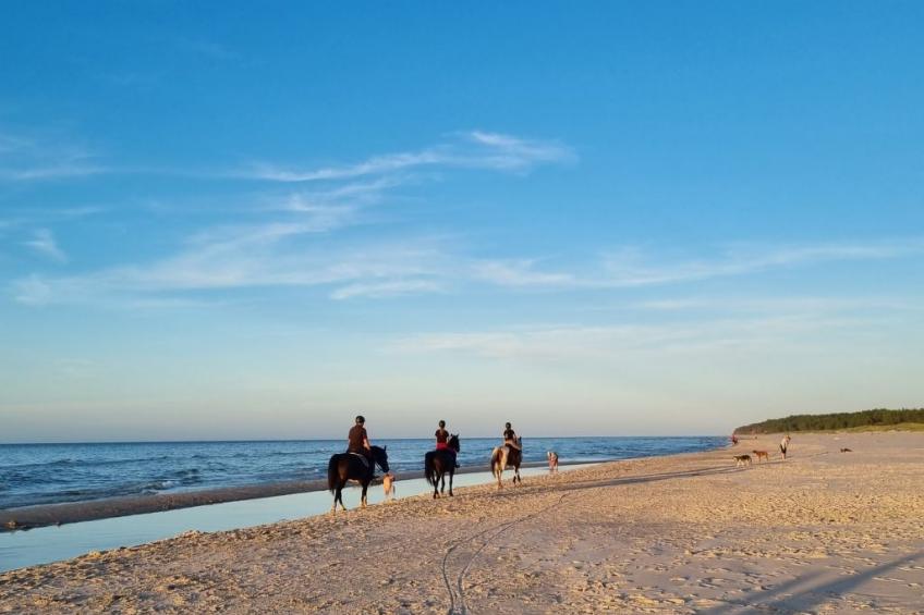 Lublewo21 Ferienhäuser - foto 36