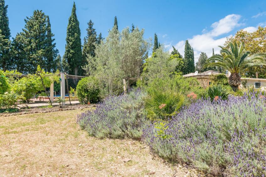 Ca Na Sioneta - foto 48