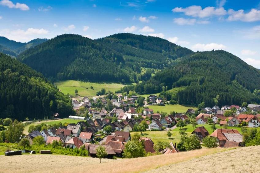 Panoramablick - foto 17