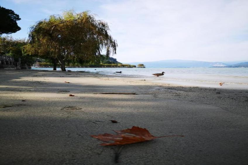 VC02/8 - Villa Castiglioni - foto 22