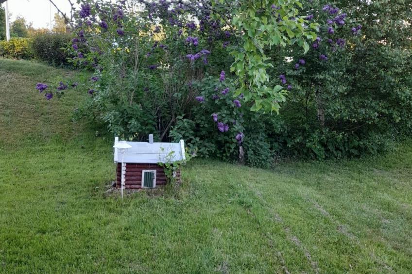 Typisch schwedisches Ferienhaus mit Garten - foto 27